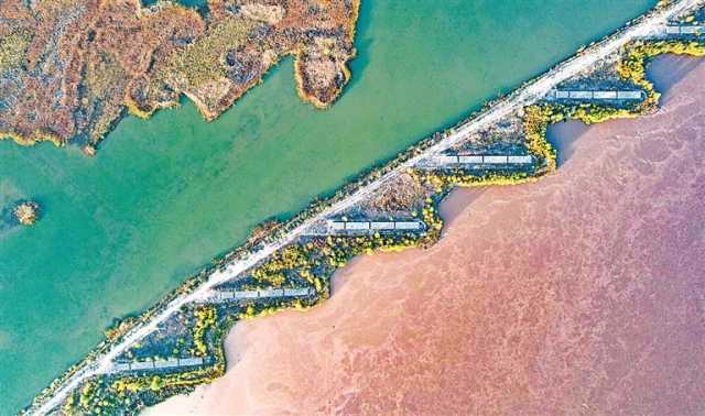 平羅天河灣：濕地水系與黃河堤防交相輝映